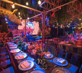 Safari themed birthday party reception