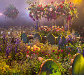 Enchanted garden themed debut