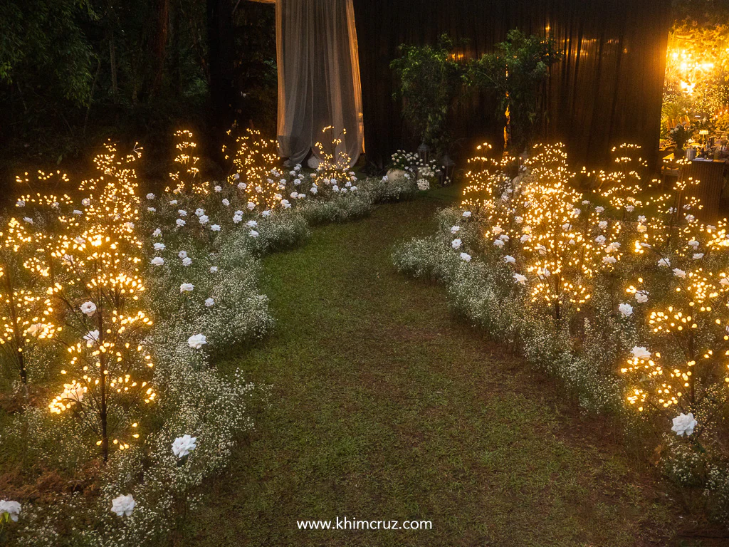 field of white blossoms bathed in the gentle glow of lights that shimmer like fireflies